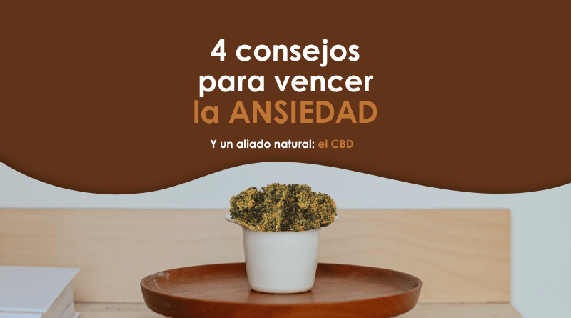 Flores CBD. Producto natural para vencer la ansiedad.