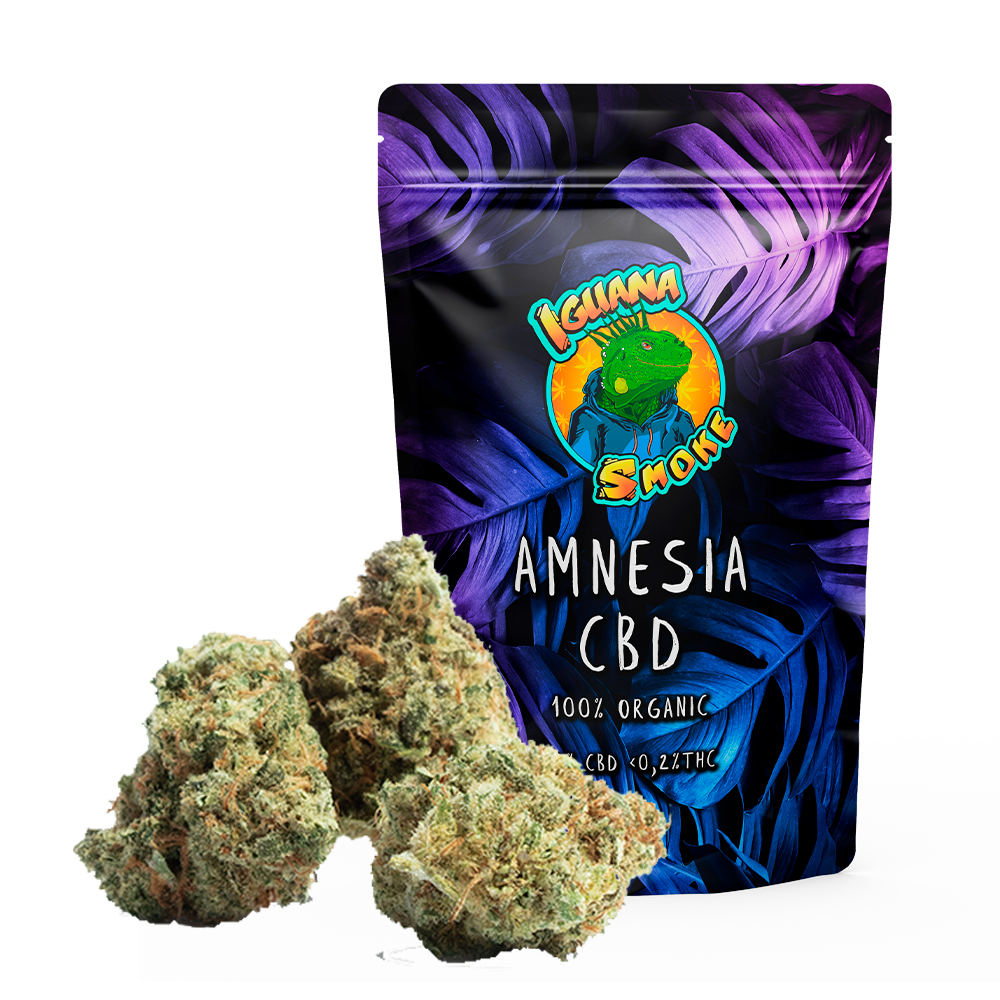 Flores-de-cbd-amnesia